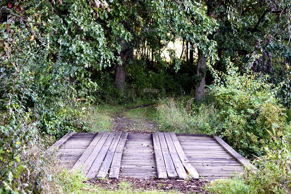 A wooden bridge into the forest
