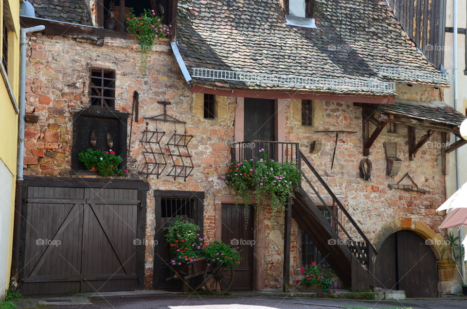 farm on street of alsace