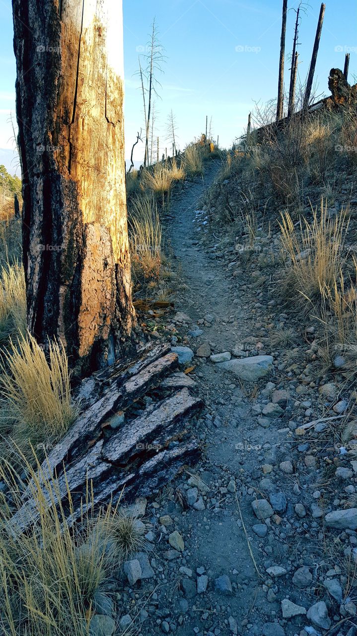 A hiking trail on a crisp autumn day.