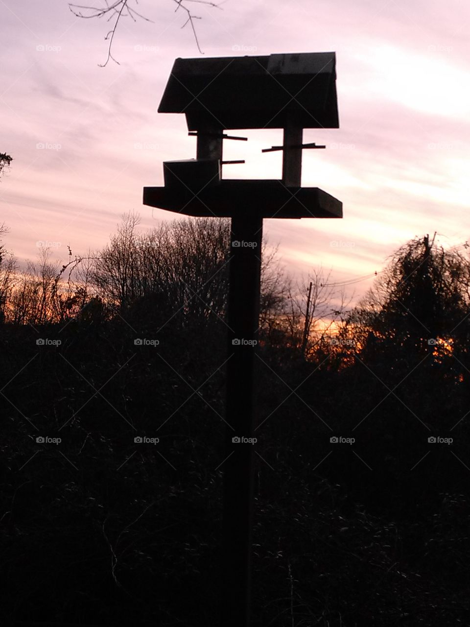 birdhouse at dusk