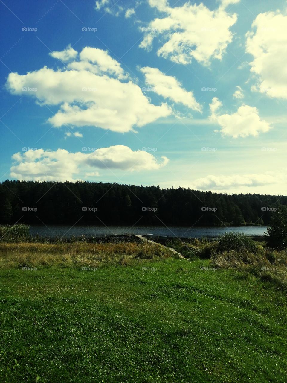 River&trees