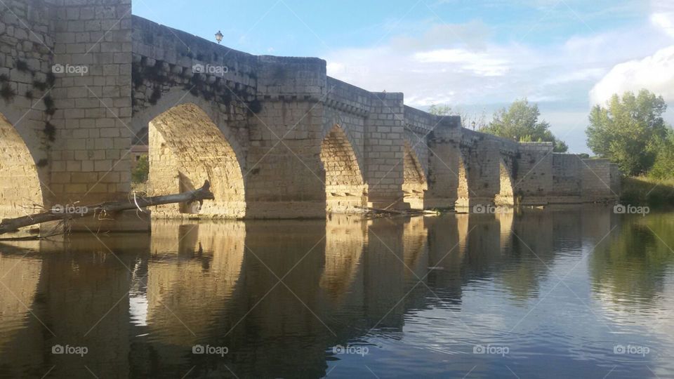 Puente sobre el rio Segura. Puente de piedra sobre el rio Segura