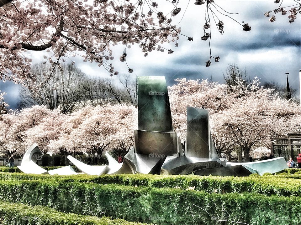 Cherry blossom and structure 