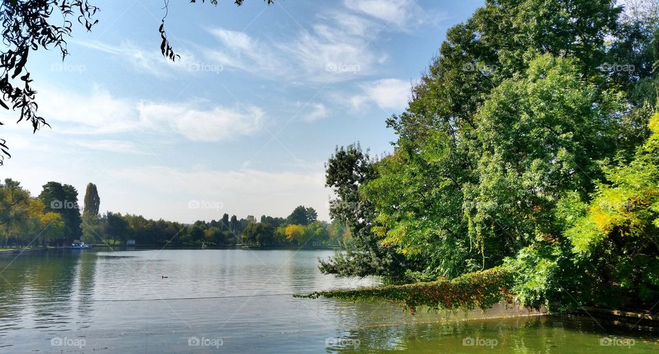 A sunny day in the Park