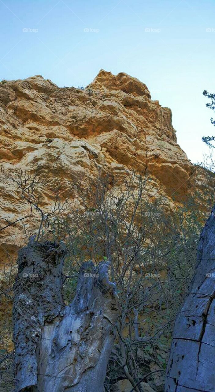 New Mexico canyon wall