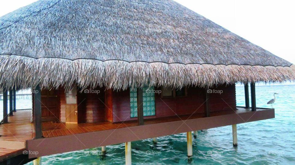 maldives overwater villa