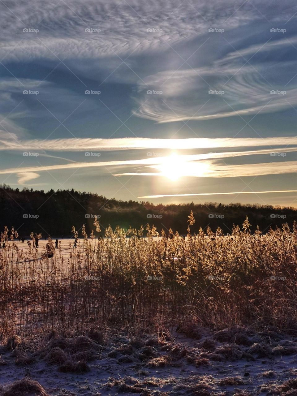 Winter day by the lake