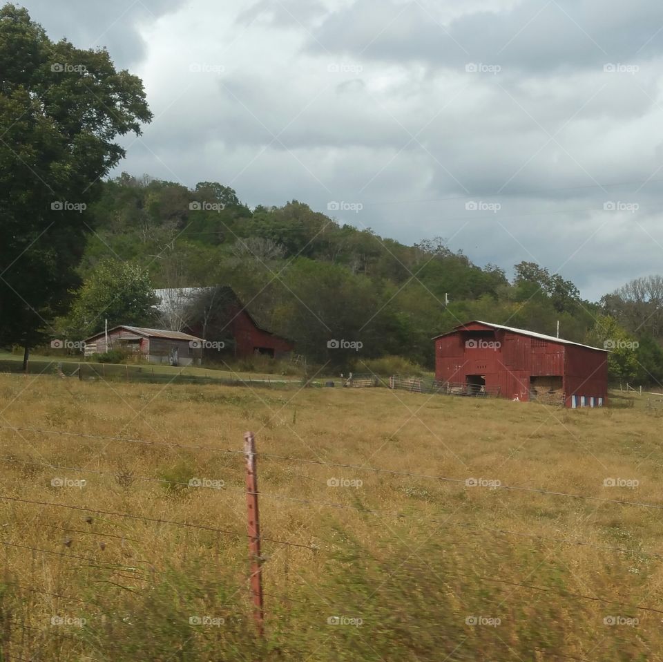 Red barn
