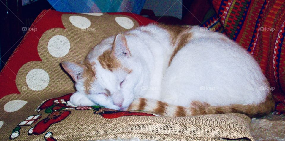 Cosying inside When its cold 