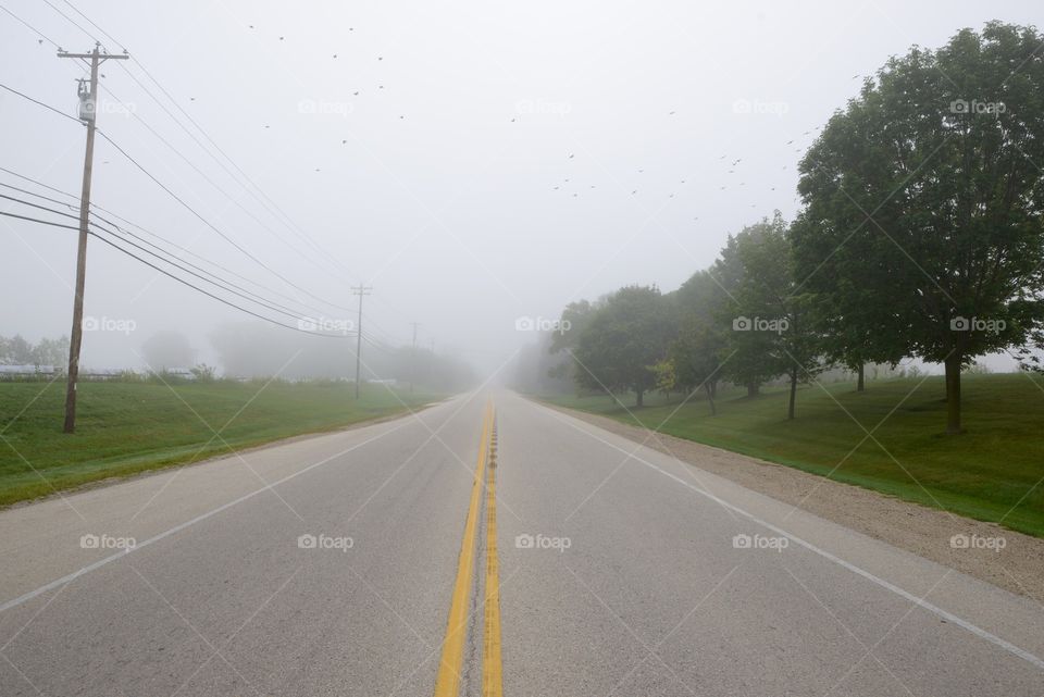 Road fog