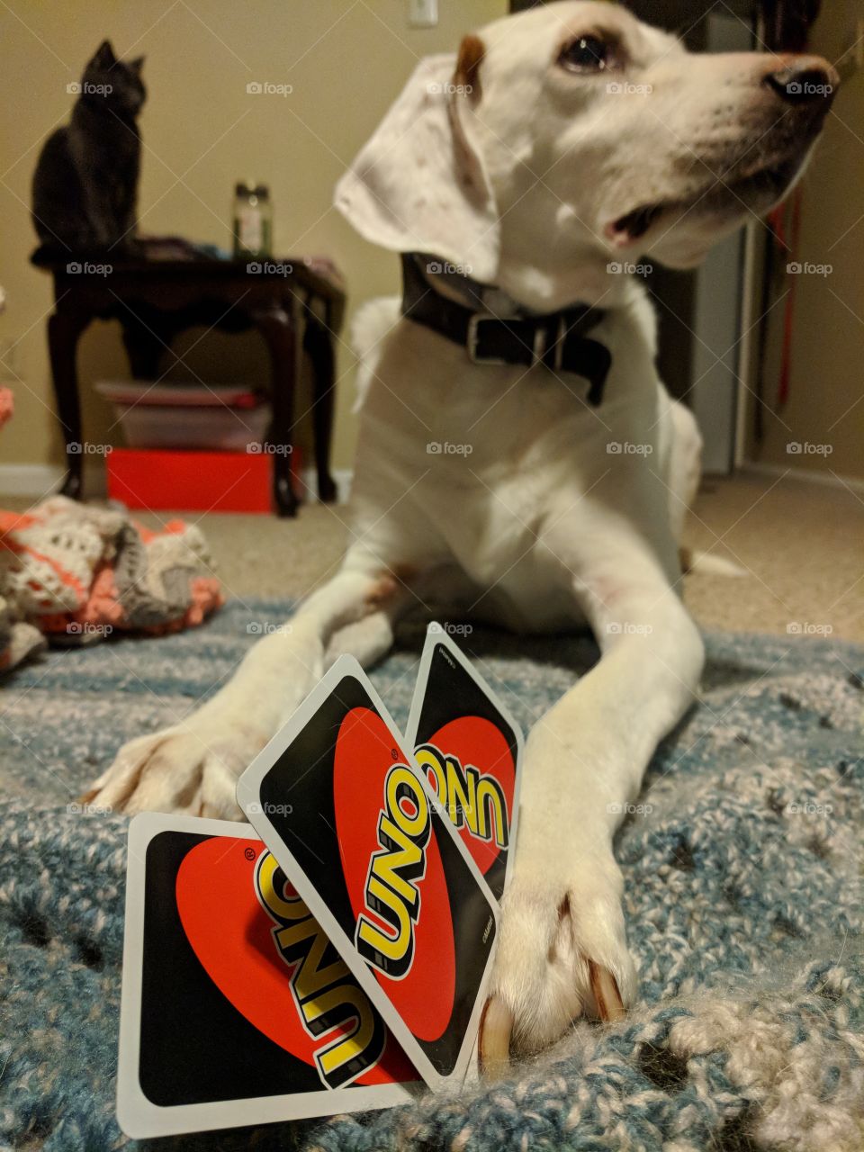 Uno!