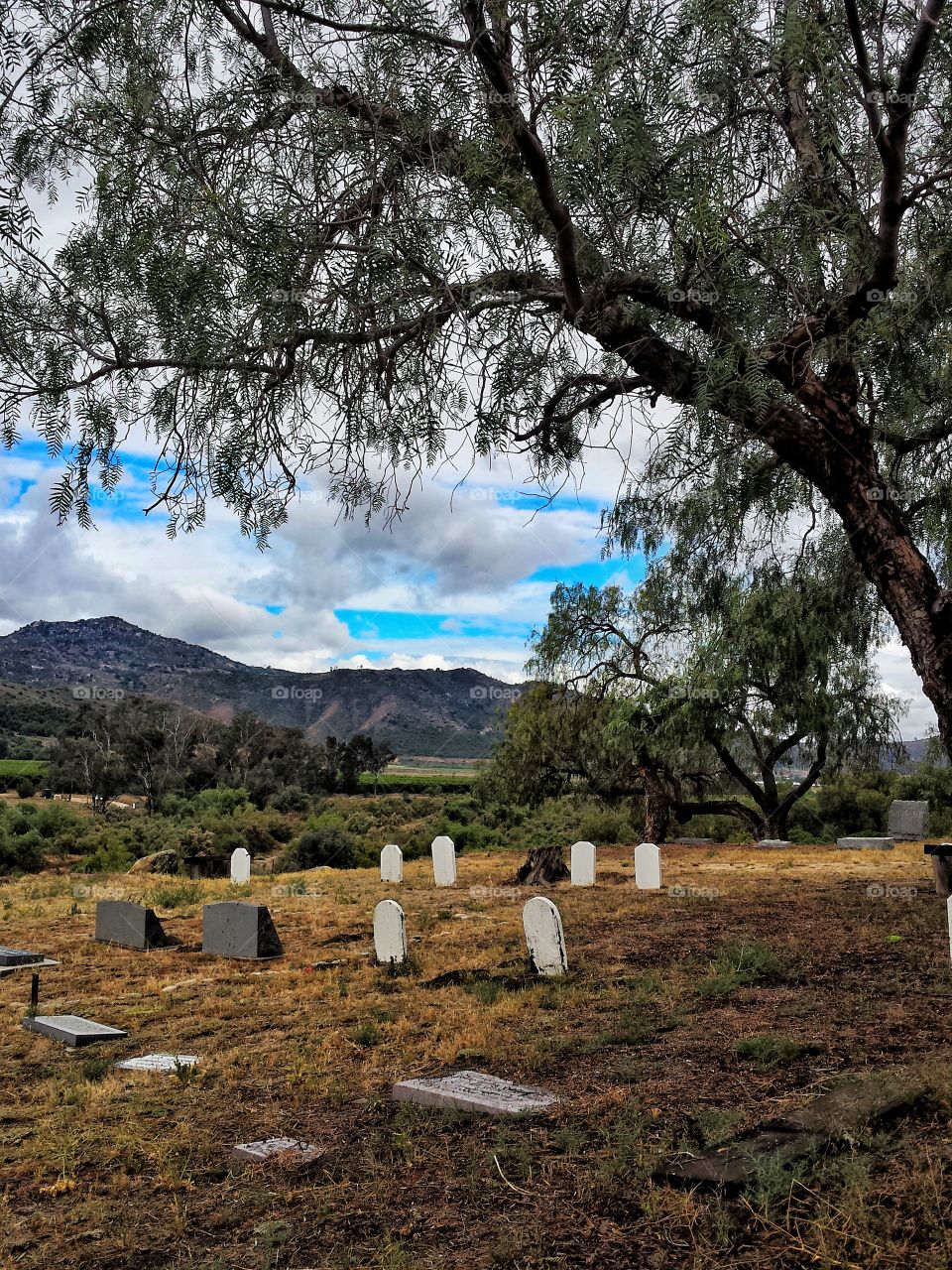 View of cemetery