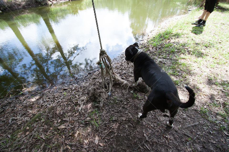 No Person, Mammal, Water, Nature, Outdoors