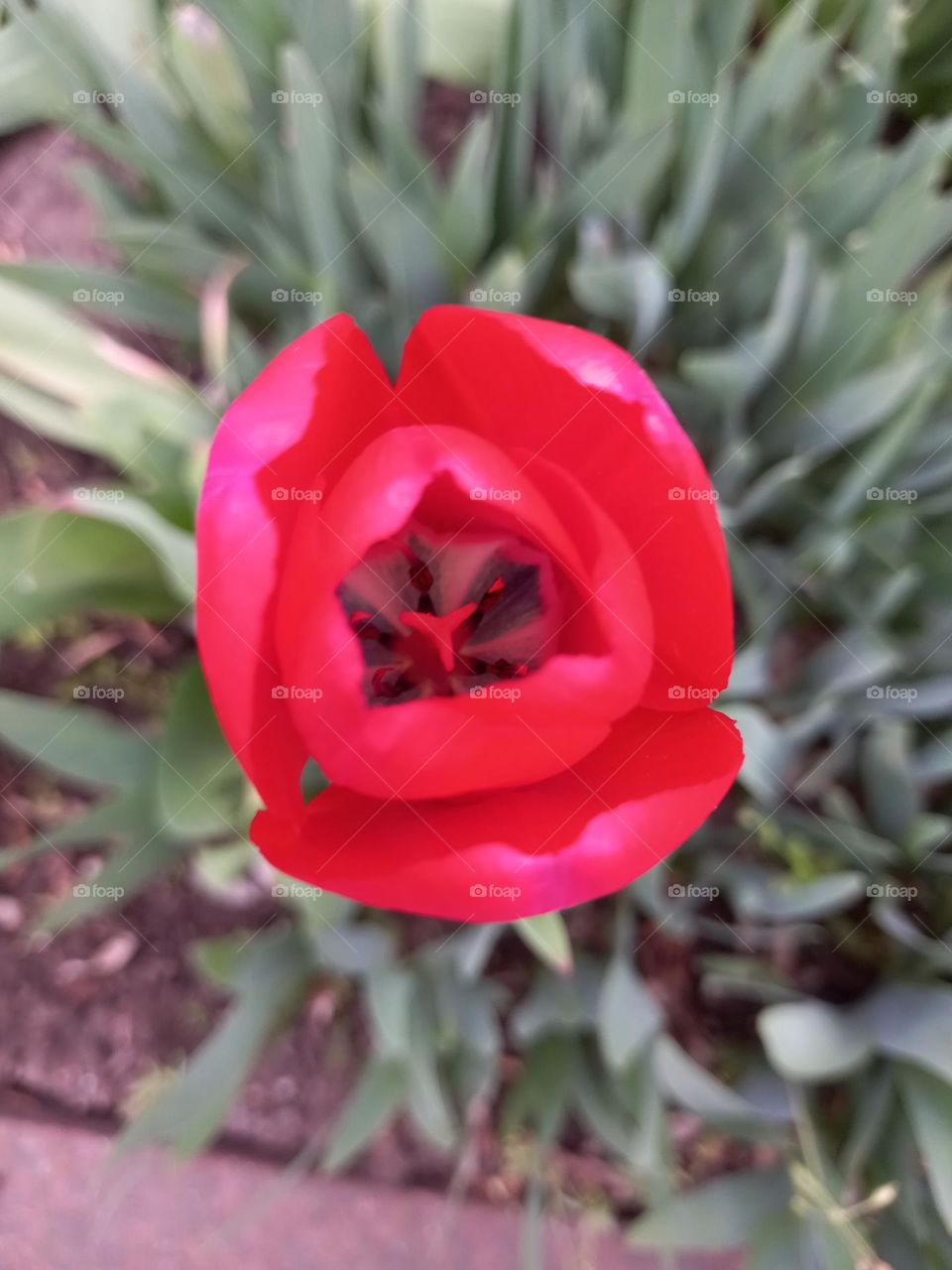 Inner world of true beauty