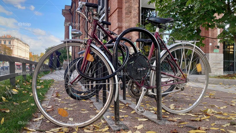 Bicycles in the city 🚲🚲