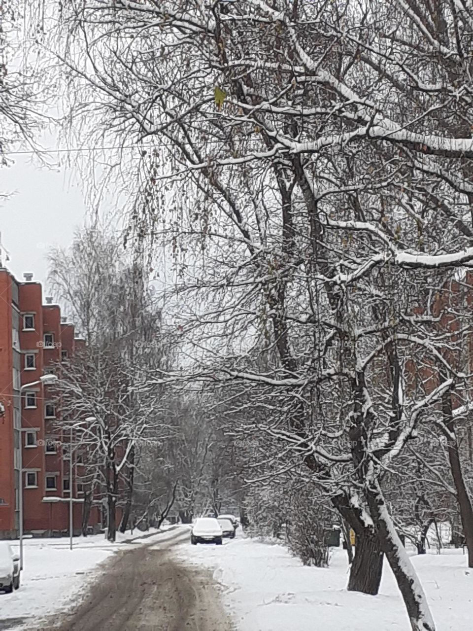 Даугавгрива