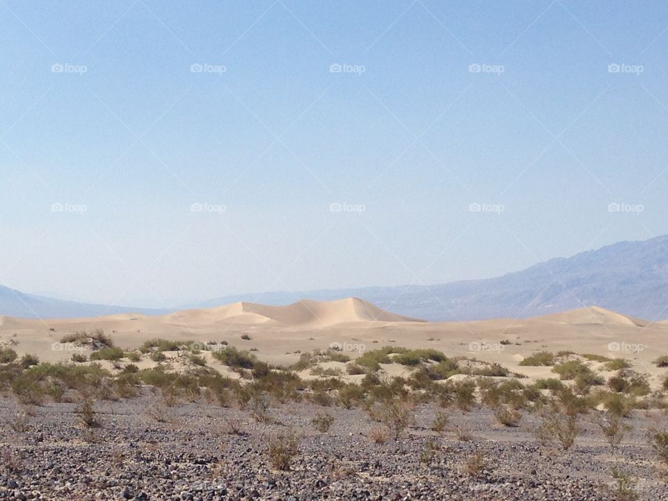 Big sand dunes in the death valley 