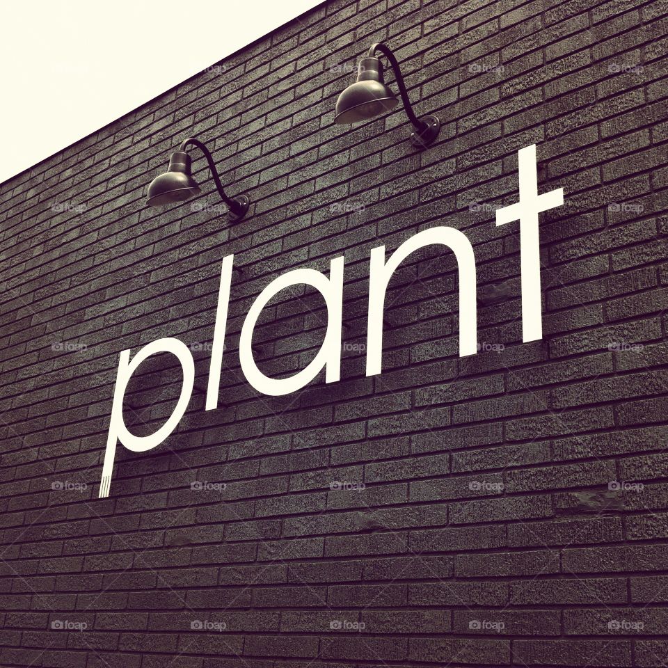 Plant Restaurant 