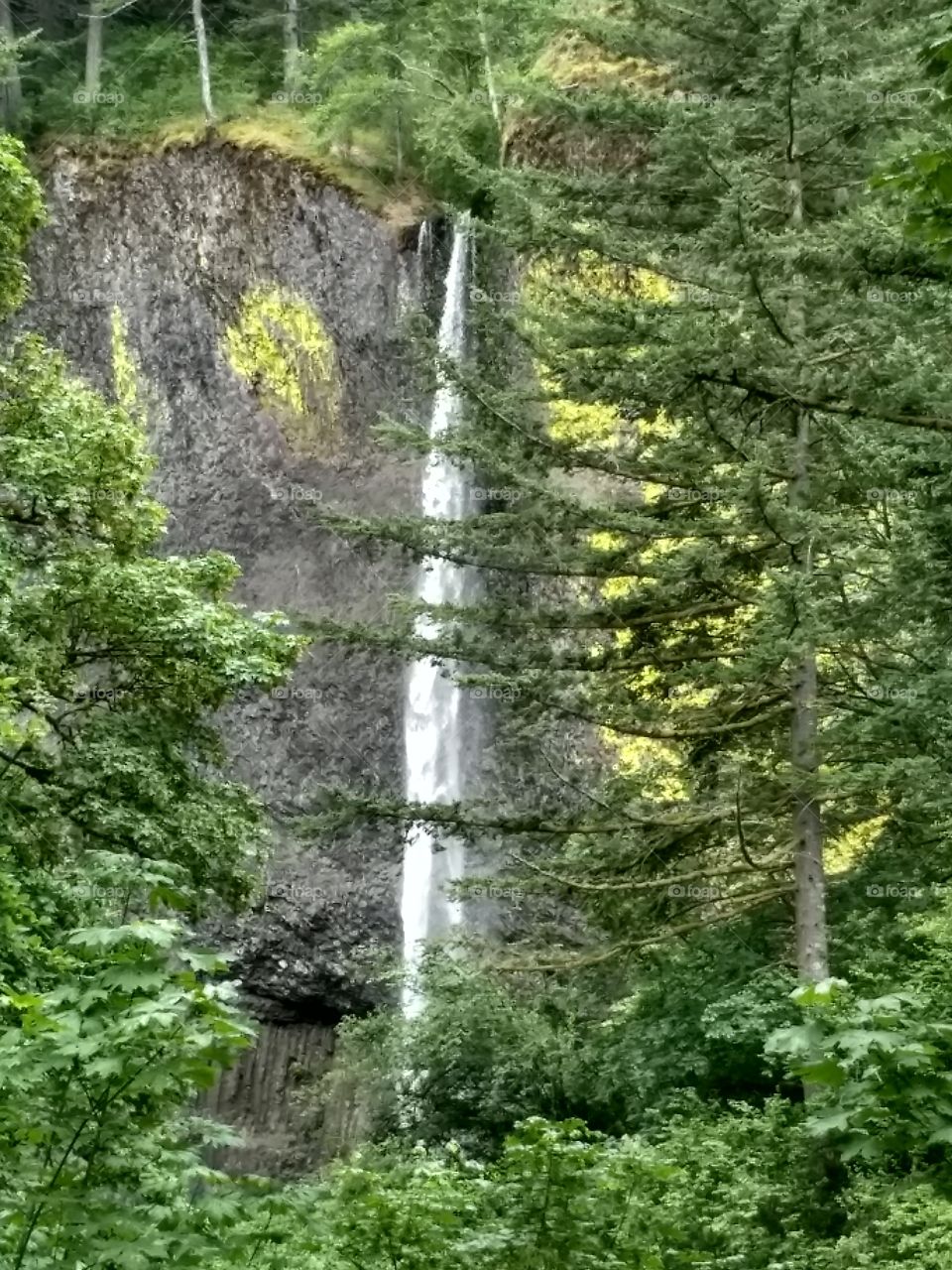 Latourel Falls, Oregon