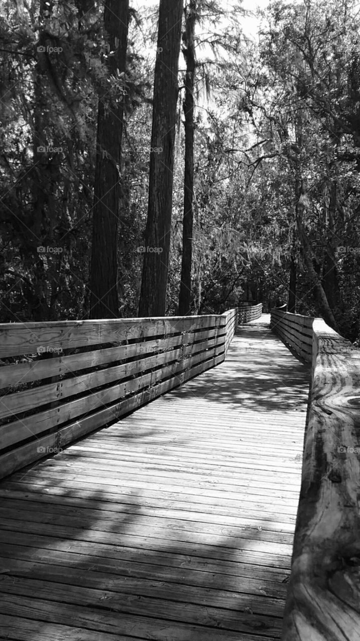 Walking on the trail