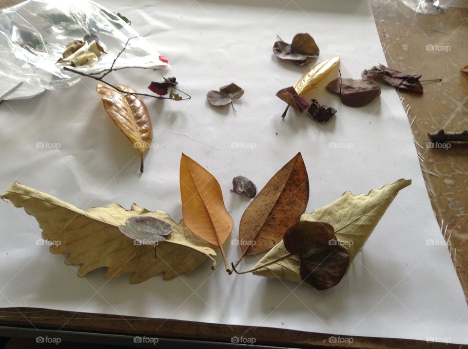 No Person, Leaf, Food, Still Life, Nature