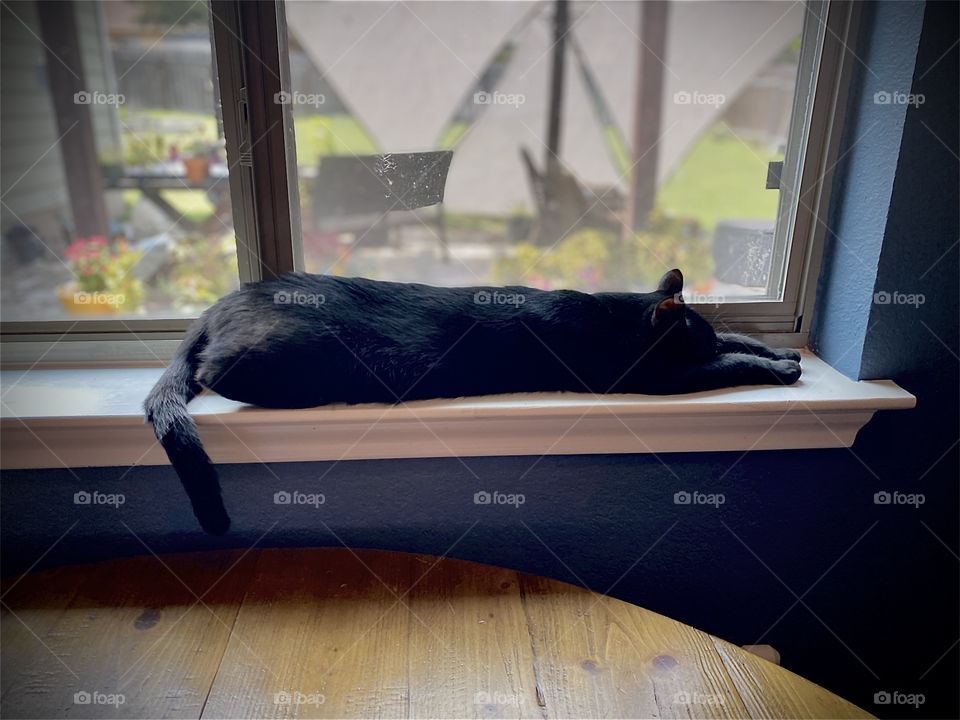 “Mo” in the window