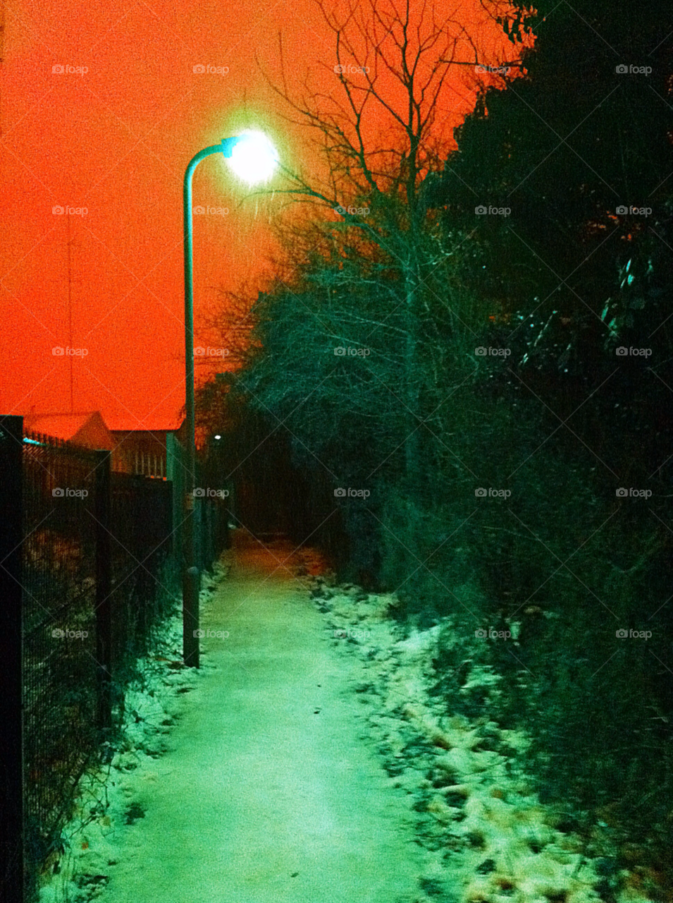 snow winter light orange by judgefunkymunky