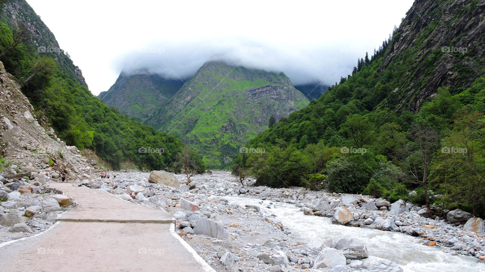 Valley of Flowers