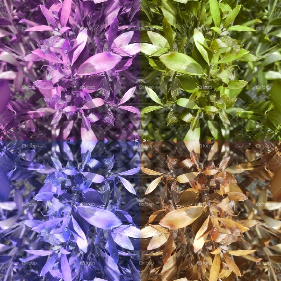 Plants decorating the outside of Tanger Outlet Mall located in Riverhead NY