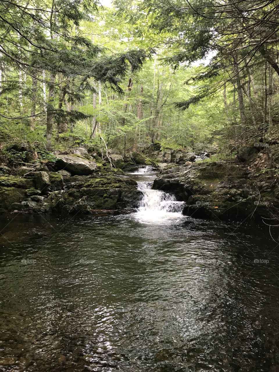 A hidden waterfall amongst the trees on an old logging road. Cape Breton, Nova Scotia, Canada.