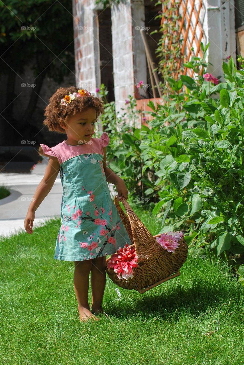 Little girl picking flowers