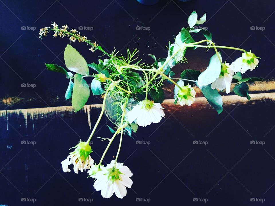 Drooping table flower 