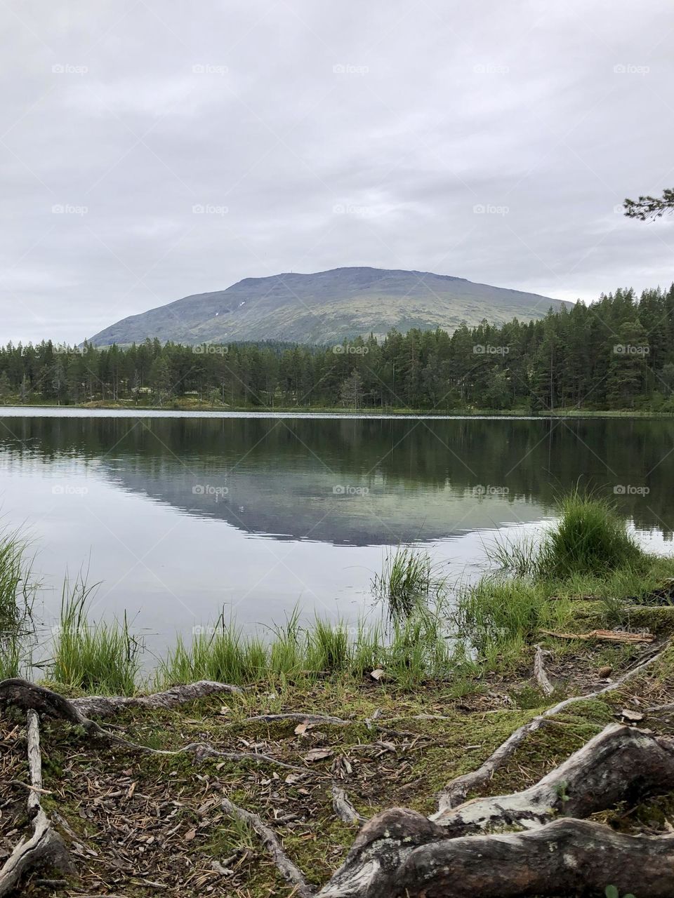 Reflection of hill in lake
