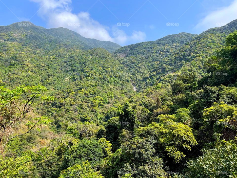 diminishing perspective 