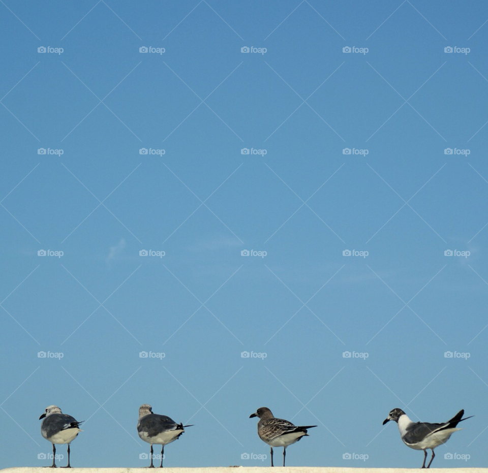 beach ocean sky summer by javiercorrea15