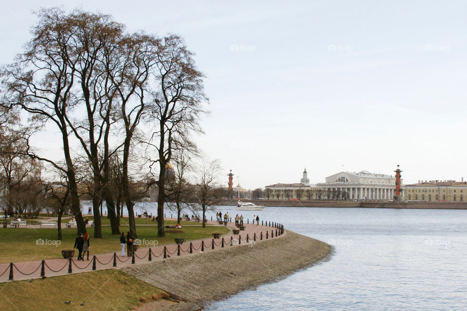 Park in the city 