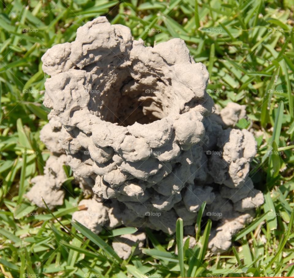 mound crawfish mudbug by lightanddrawing