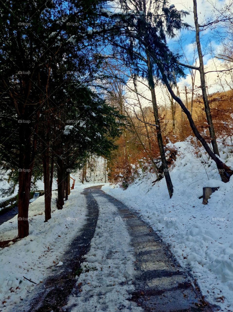 winter landscape