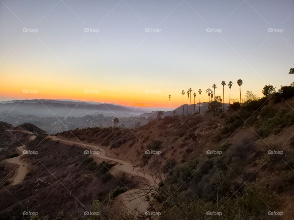 Hollywood Hills Sunset