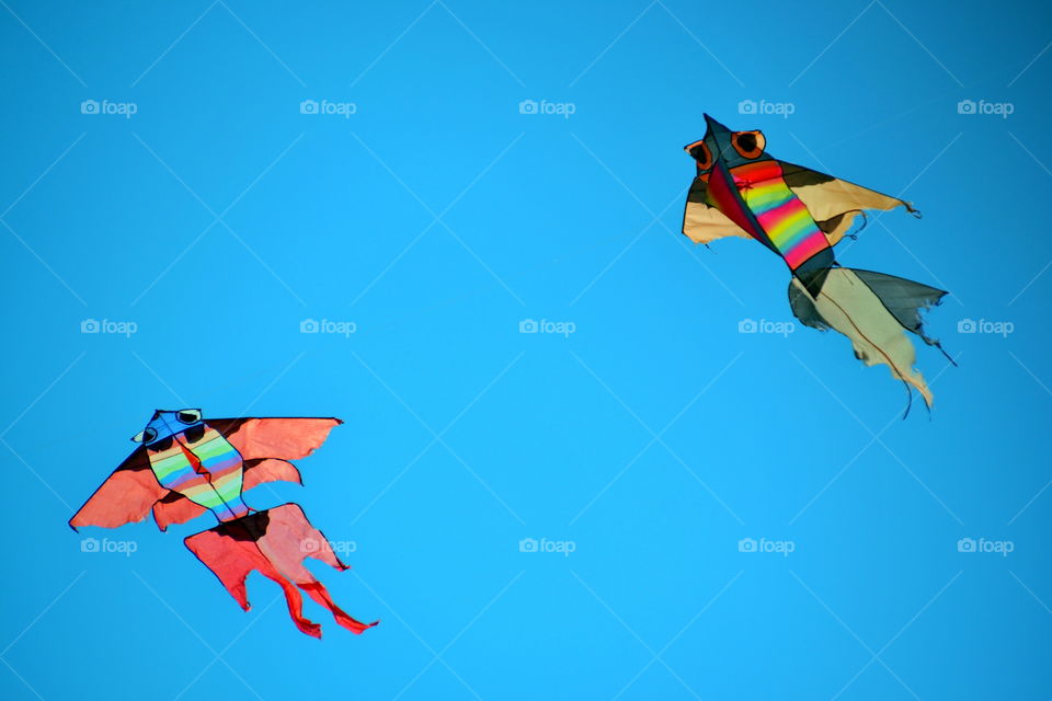 colorful kites flying in the blue sky