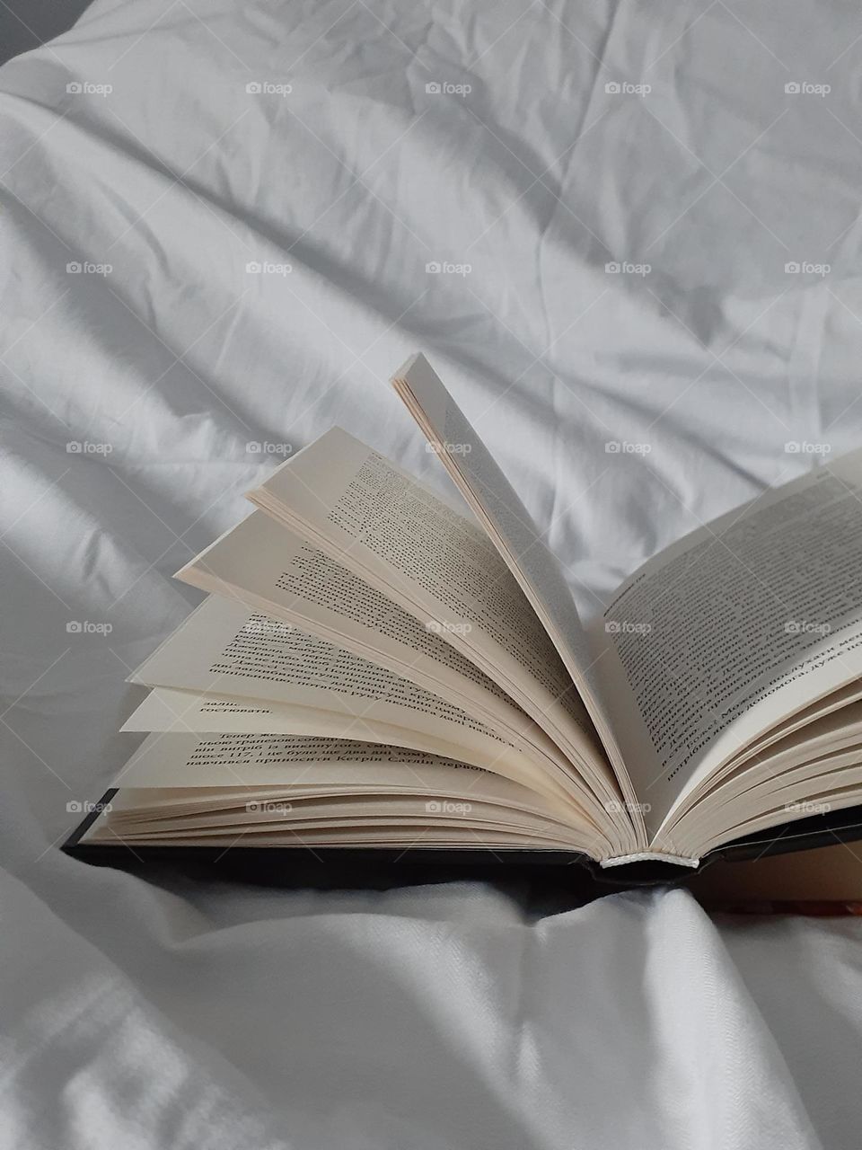 Aesthetic frame of an open book