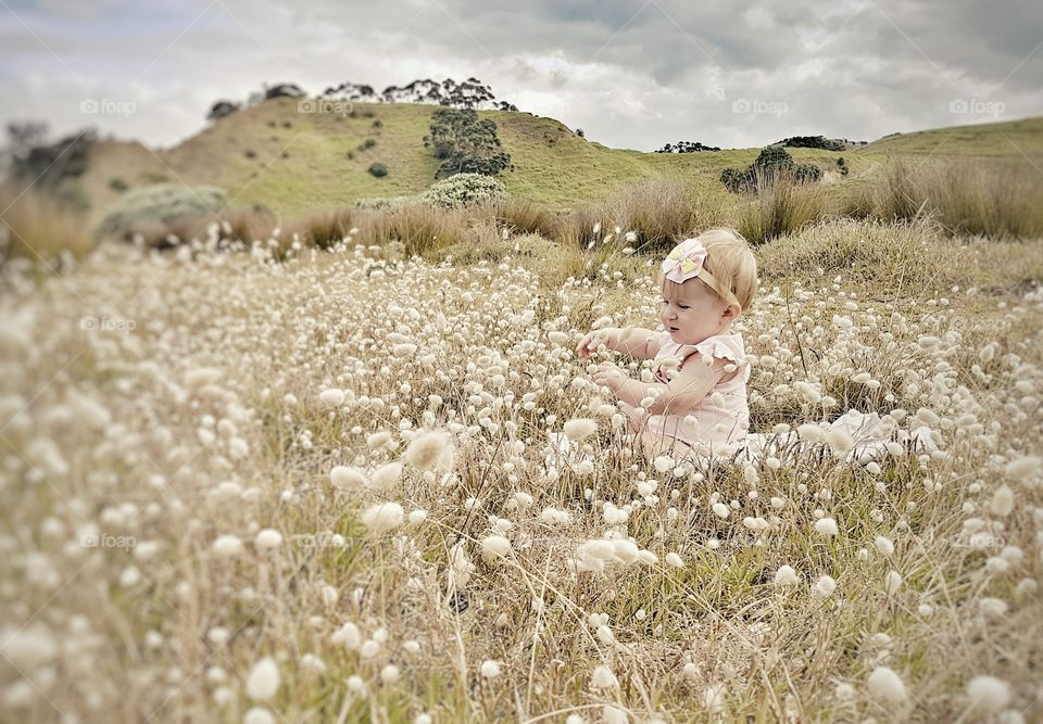 Nature, Field, Grass, Summer, Wheat