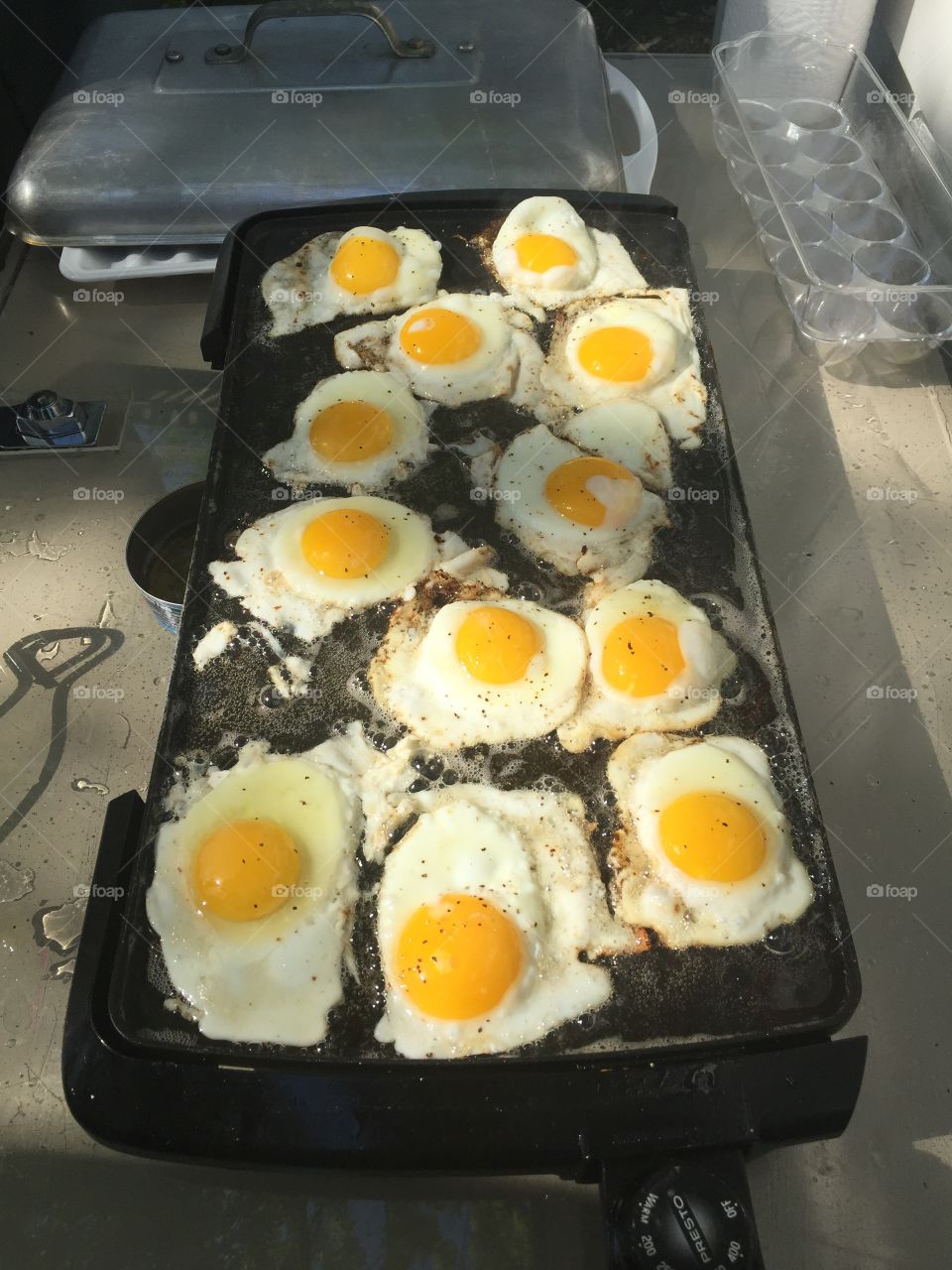 Fried Eggs