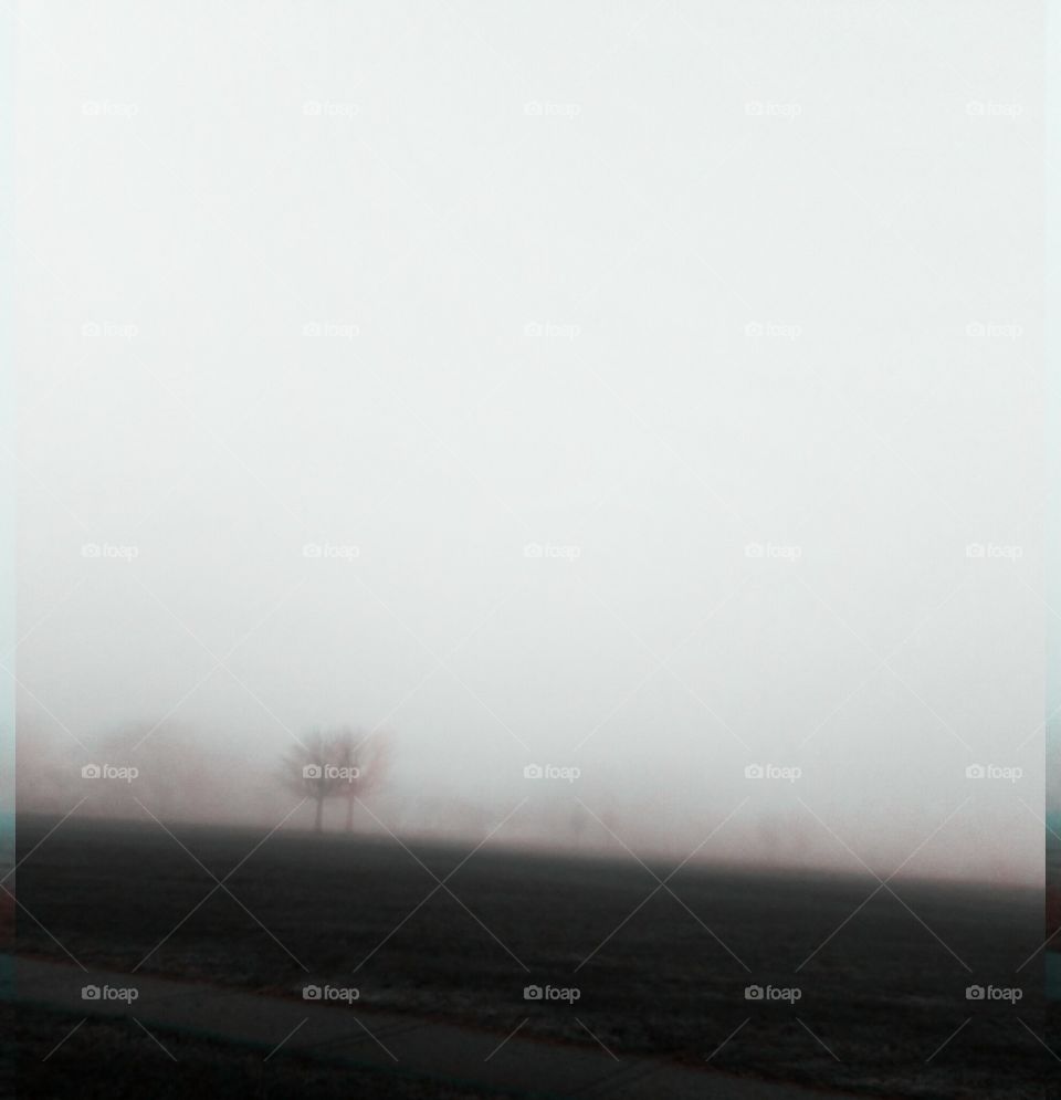 fog
