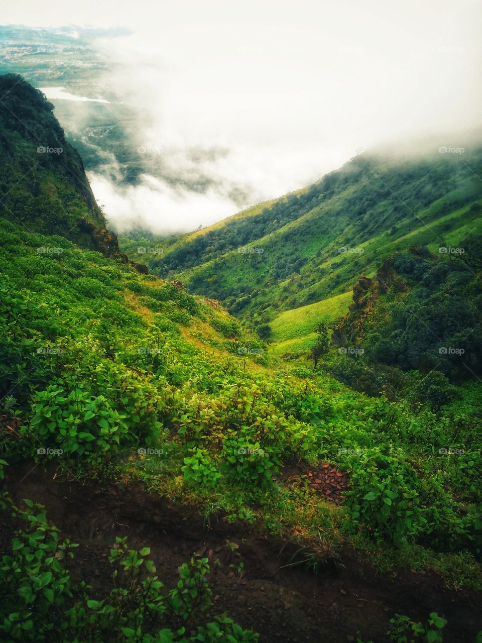 nature's s one of best gift to us