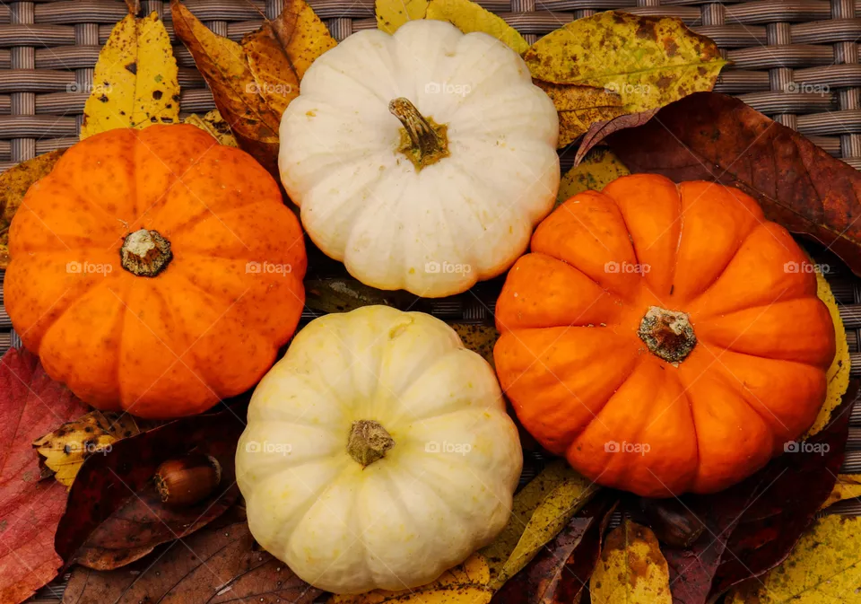 leaves and pumpkins
