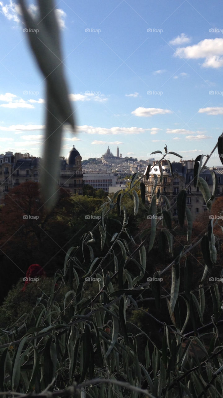 Paris is an amazing city. This is a cliché I am proud to introduce to you. I took this one from buttes chaumont with the Sacré Coeur view. Enjoy this beauty guys!