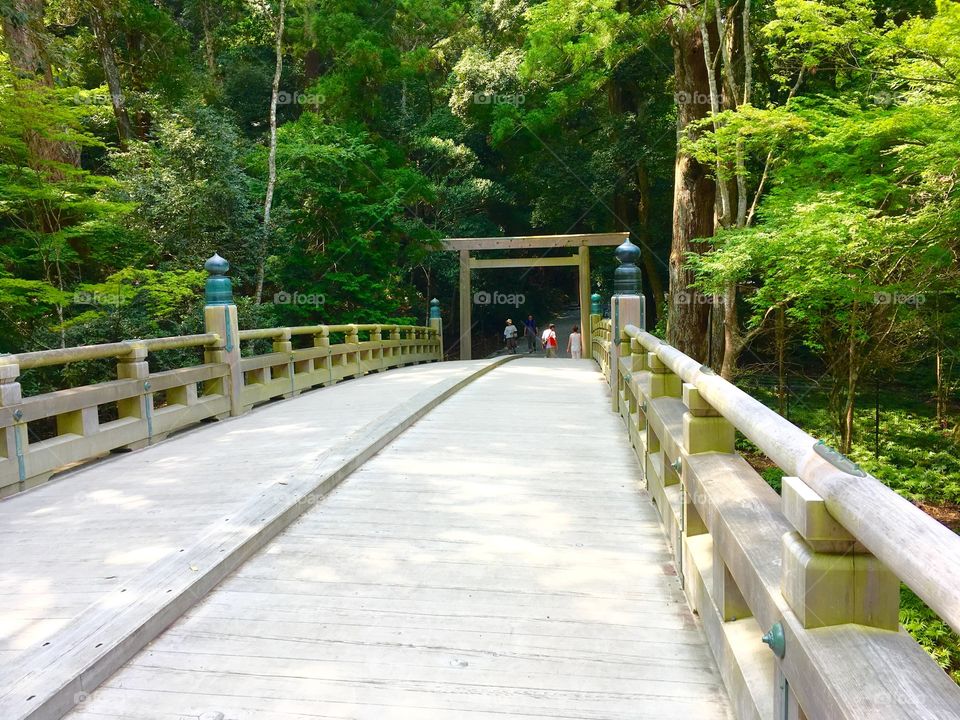 Bridge inside Ise Shrine in Japan with a torii gate at the other side. 