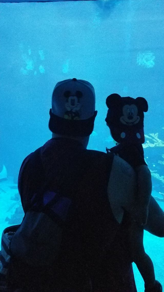 Father & Son