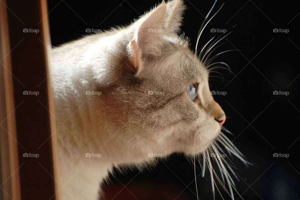 Tosco - no filters, no post-production.